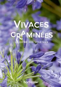 Vivaces & graminées : le guide des végétaux
