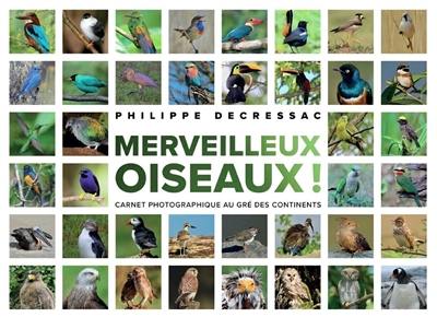 Merveilleux oiseaux : carnet photographique au gré des continents Merveilleux oiseaux : carnet photographique au gré des continents