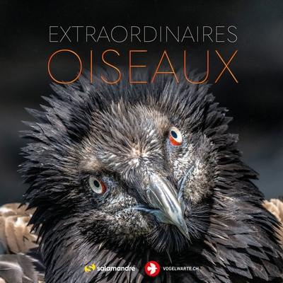 Extraordinaires oiseaux Extraordinaires oiseaux