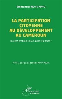 La participation citoyenne au développement au Cameroun : quelles pratiques pour quels résultats ?
