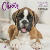 Chiots : calendrier 2022 : de septembre 2021 à décembre 2022