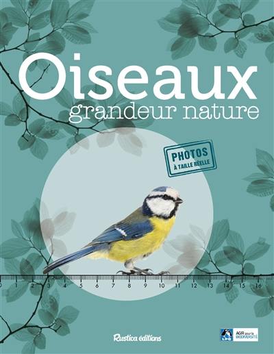 Oiseaux grandeur nature : identifier facilement les oiseaux du jardin ! Oiseaux grandeur nature : identifier facilement les oiseaux du jardin !