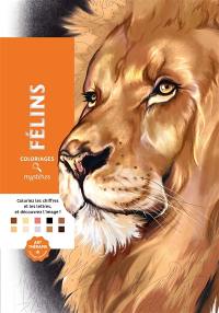 Félins : coloriages mystères