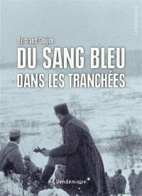 Du sang bleu dans les tranchées : expériences militaires de nobles français durant la Grande Guerre Du sang bleu dans les tranchées : expériences militaires de nobles français durant la Grande Guerre