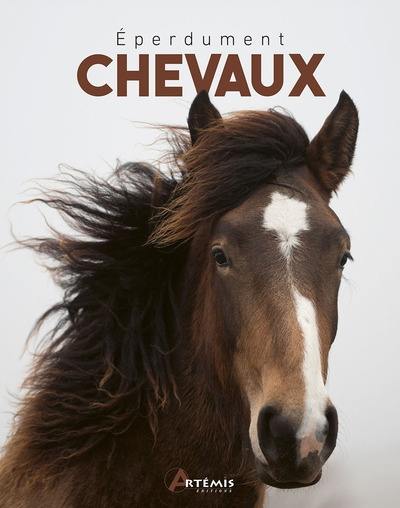 Eperdument chevaux