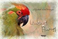 Couleurs plumes