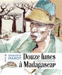 Douze lunes à Madagascar : carnets de vagabondages Douze lunes à Madagascar : carnets de vagabondages