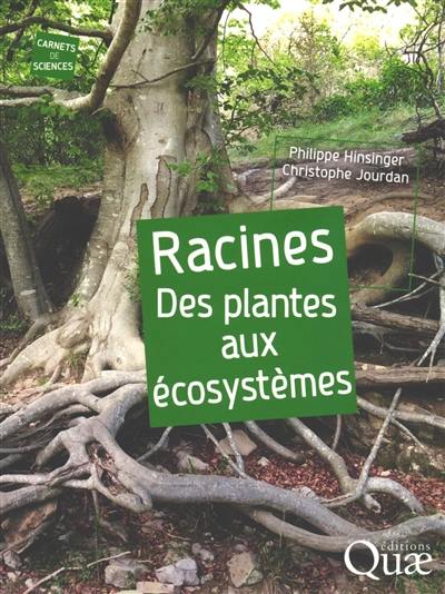 Racines : des plantes aux écosystèmes