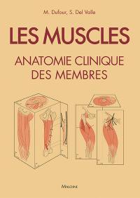 Les muscles : anatomie clinique des membres : fiches illustrées