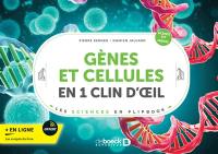 Gènes et cellules en 1 clin d'oeil