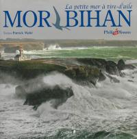 Morbihan : la petite mer à tire-d'aile