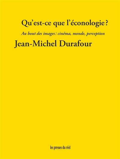 Qu'est-ce que l'éconologie ? : au bout des images : cinéma, monde, perception