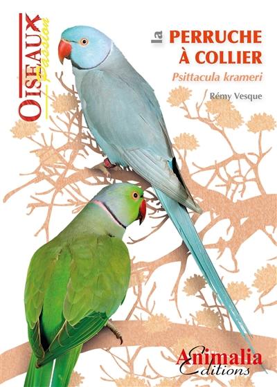 La perruche à collier : psittacula krameri La perruche à collier : psittacula krameri