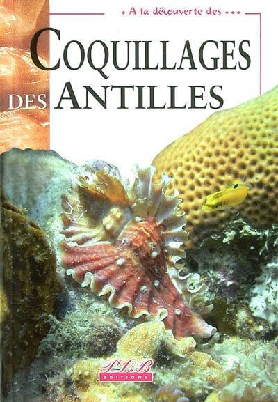 Coquillages des Antilles Coquillages des Antilles