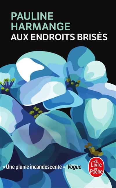 Aux endroits brisés Aux endroits brisés