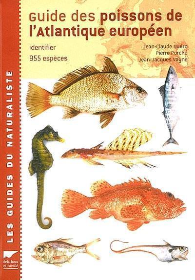 Sachez identifier les poissons plats - Normandie Appâts