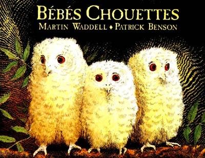 Bébés chouettes Bébés chouettes