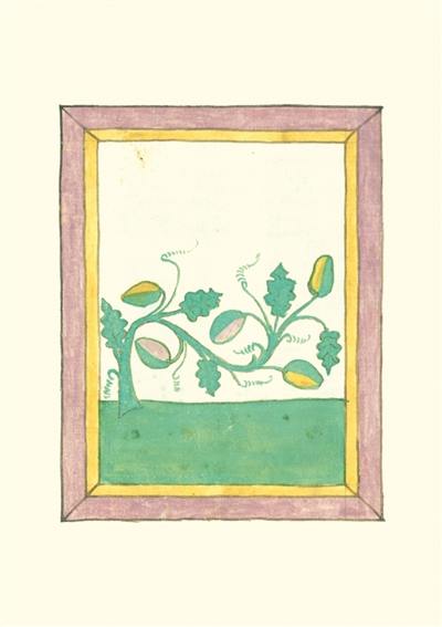 Livre des herbes : carnet