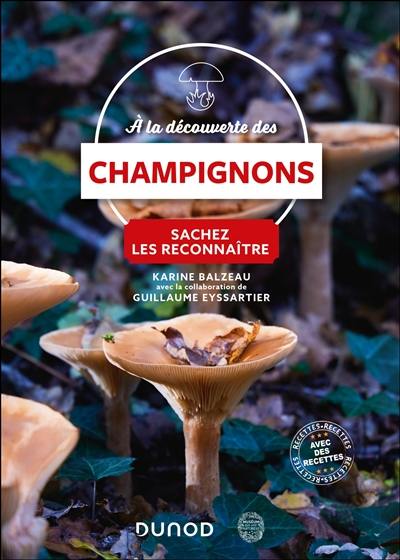 A la découverte des champignons : sachez les reconnaître A la découverte des champignons : sachez les reconnaître