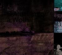 D'Alechinsky à Wolfs : anthologie chromatique : une sélection de la collection d'art de la province du Brabant walllon