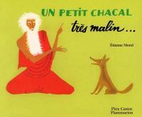 Un petit chacal très malin
