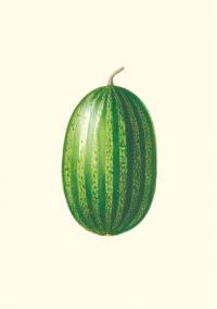 Jardin potager et jardin fruitier