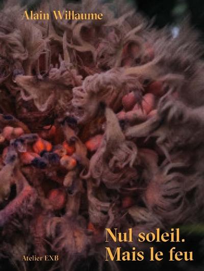 Nul soleil : mais le feu