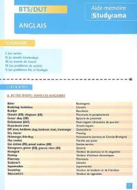 Anglais, BTS-DUT