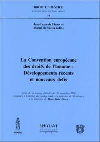 La Convention européenne des droits de l'homme : développements récents et nouveaux défis : actes de la journée d'études du 30 novembre 1996