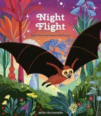 Night flight Night flight