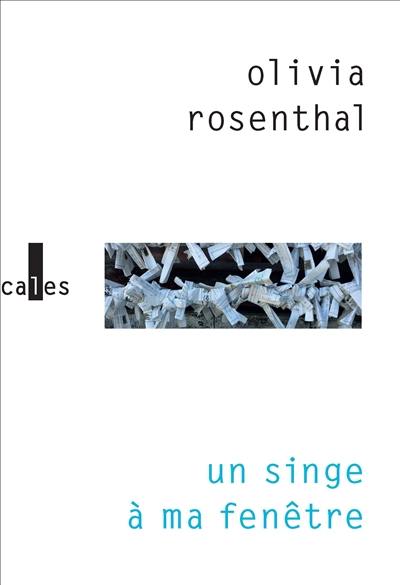 Un singe à ma fenêtre Un singe à ma fenêtre