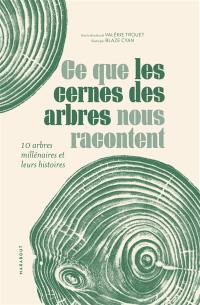 Ce que les cernes des arbres nous racontent : 10 arbres millénaires et leurs histoires