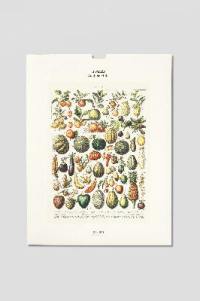 Fruits