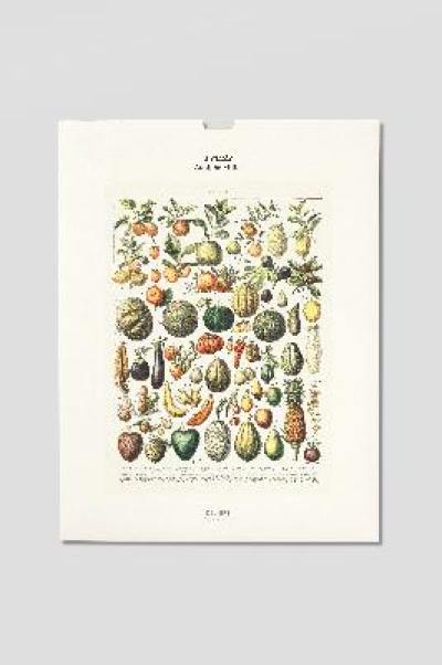 Fruits