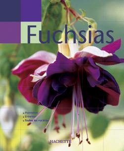Fuchsias Fuchsias