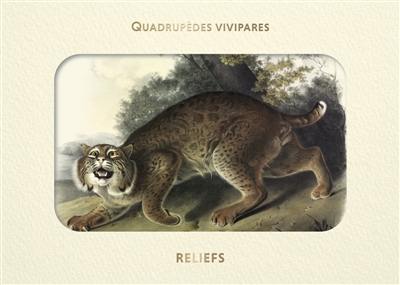 Quadrupèdes vivipares