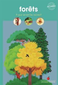 Forêts : à quoi servent les racines ?