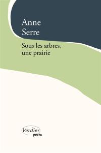 Sous les arbres, une prairie
