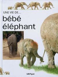 Bébé Eléphant