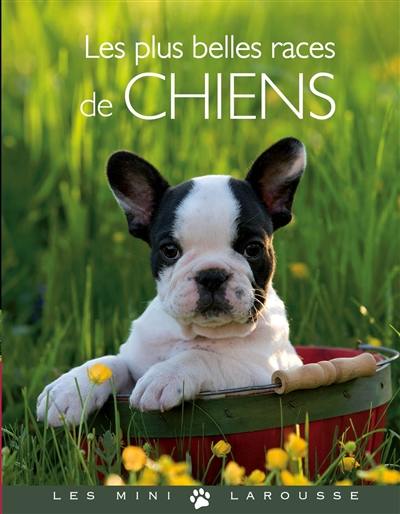 Les plus belles races de chiens Les plus belles races de chiens