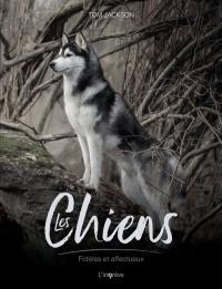 Les chiens : fidèles et affectueux