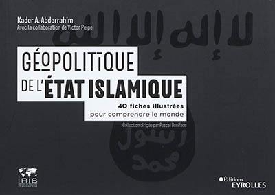 Géopolitique de l'Etat islamique : 40 fiches illustrées pour comprendre le monde Géopolitique de l'Etat islamique : 40 fiches illustrées pour comprendre le monde