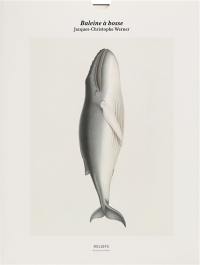 Baleine à bosse