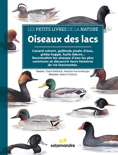 Oiseaux des lacs : canard colvert, gallinule poule-d'eau, grèbe huppé, oie cendrée... : reconnaître les oiseaux d'eau les plus communs et découvrir leur mode de vie fascinant Oiseaux des lacs : canard colvert, gallinule poule-d'eau, grèbe huppé, oie cendrée... : reconnaître les oiseaux d'eau les plus communs et découvrir leur mode de vie fascinant