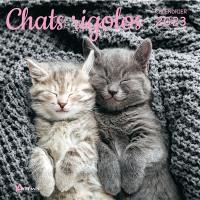 Chats rigolos : calendrier 2023 : de septembre 2022 à décembre 2023