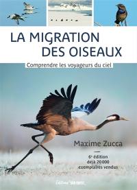 La migration des oiseaux : comprendre les voyageurs du ciel