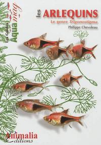 Les arlequins : le genre trigonostigma