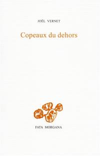 Copeaux du dehors : trois hivers dans les Balkans : journal poétique 2021-2023
