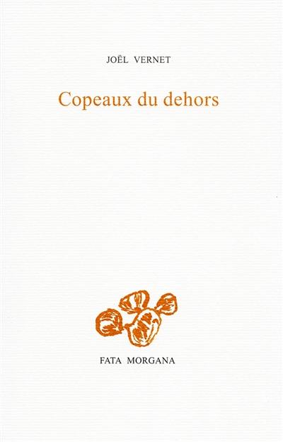 Copeaux du dehors : trois hivers dans les Balkans : journal poétique 2021-2023