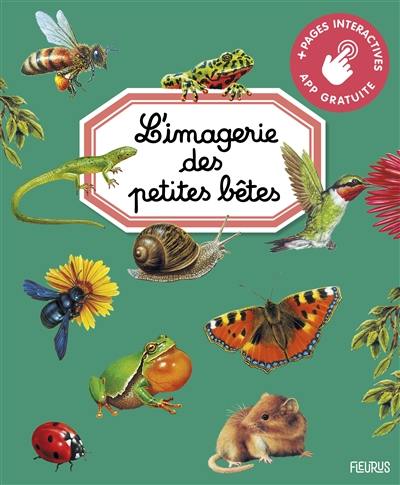 L'imagerie des petites bêtes L'imagerie des petites bêtes